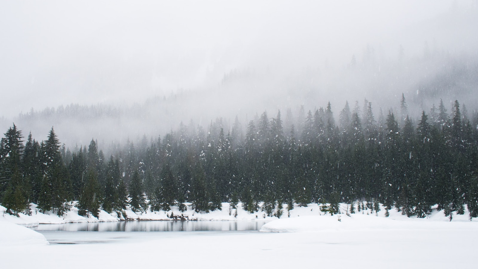 Winter scenery in Colorado Springs